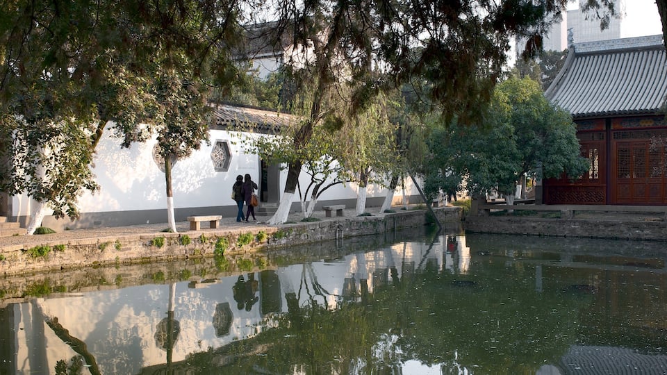 Nanjing which includes a pond
