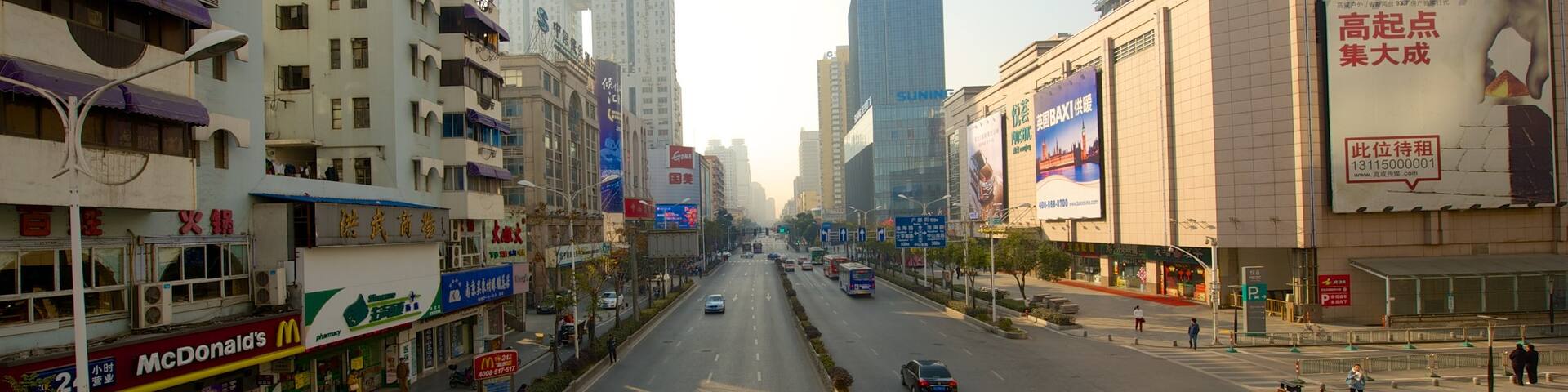 Nanjing showing street scenes and a city