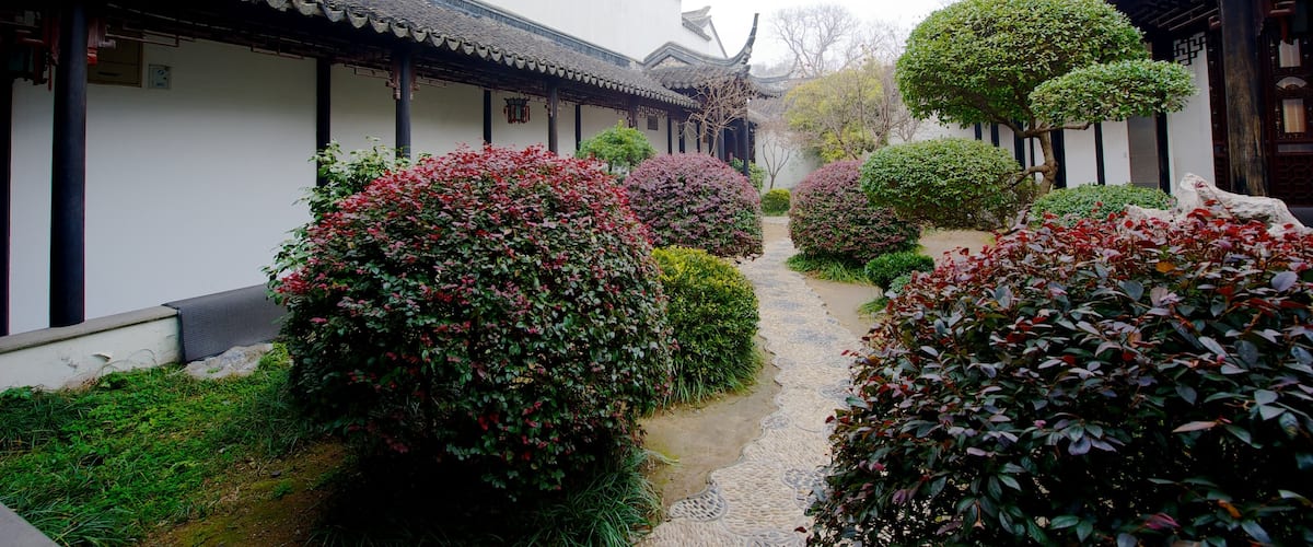 蘇州博物館 其中包括 公園