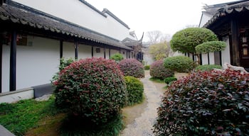 Suzhou Museum showing a park