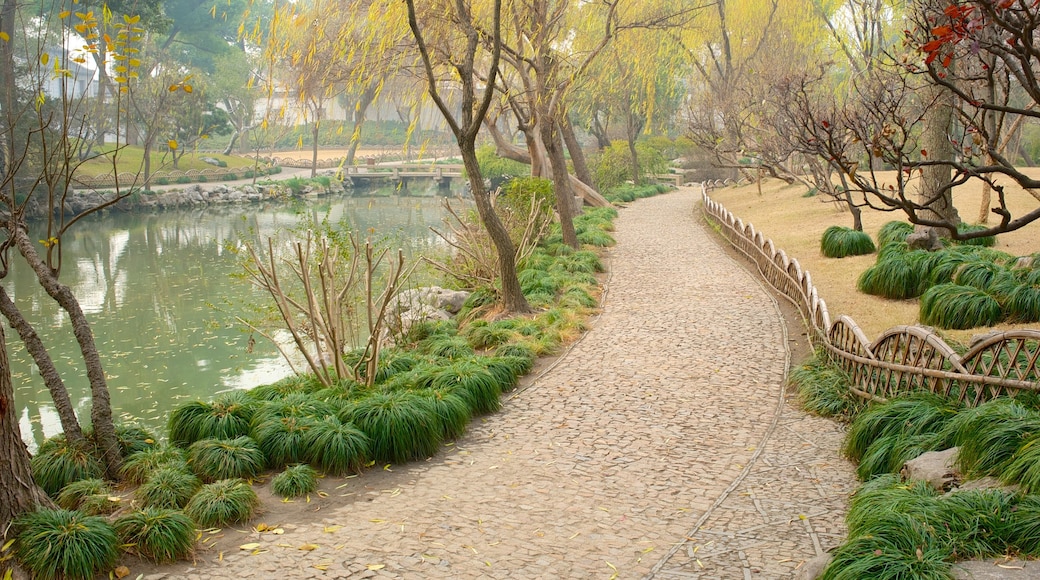 Suzhou showing a pond and a park