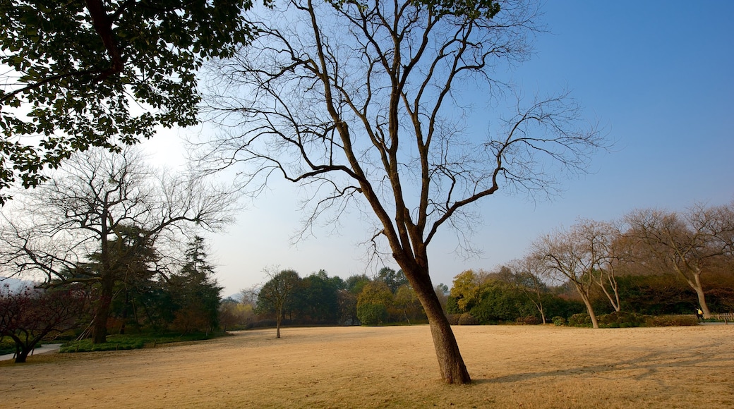 West Lake caratteristiche di parco