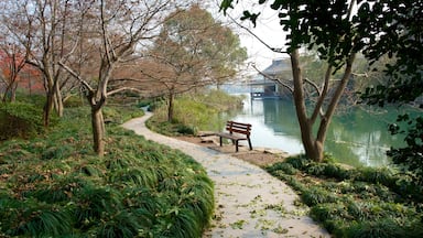 West Lake which includes a garden and a lake or waterhole