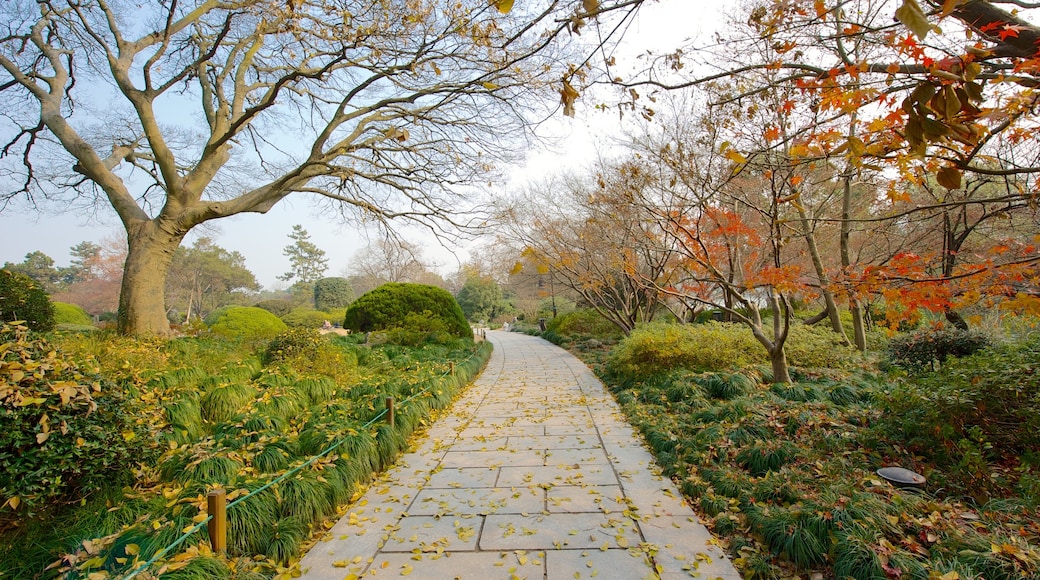 West Lake featuring a park and autumn leaves