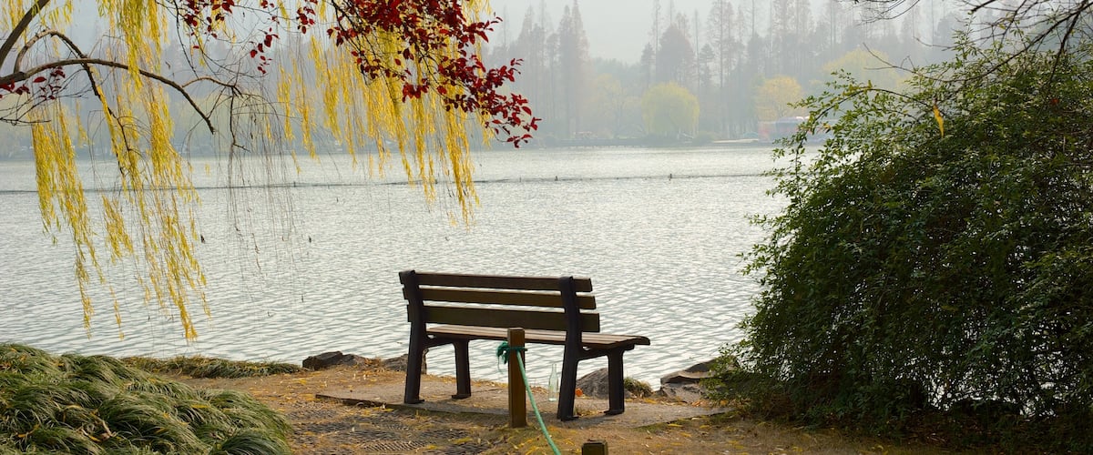 Lago Occidental mostrando un lago o espejo de agua