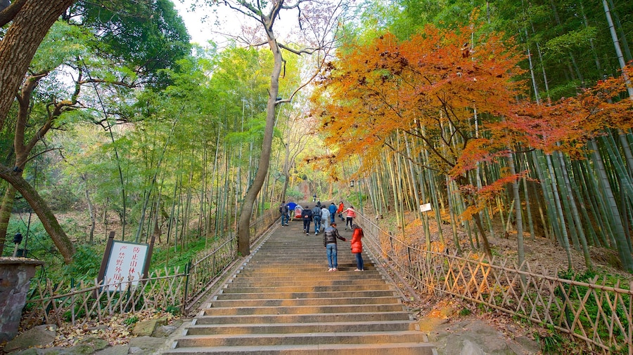 Pagoda de Baochu ofreciendo senderismo o caminatas