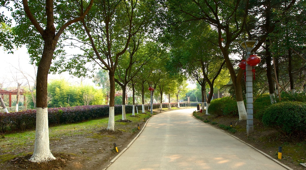 Jiaxing mostrando un jardín