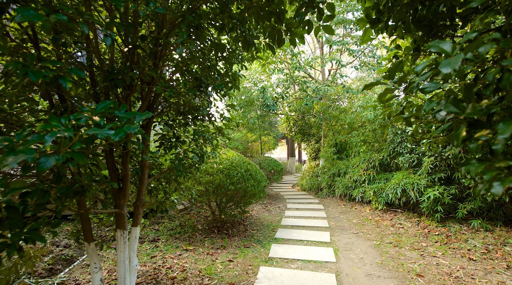 Jiaxing featuring a garden