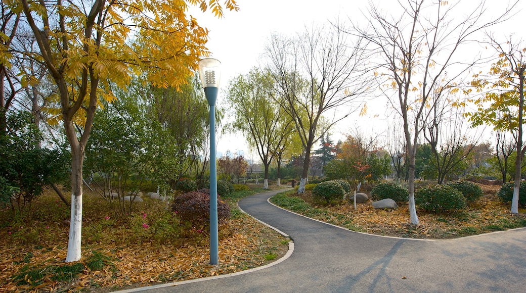 Jiaxing featuring autumn leaves and a park