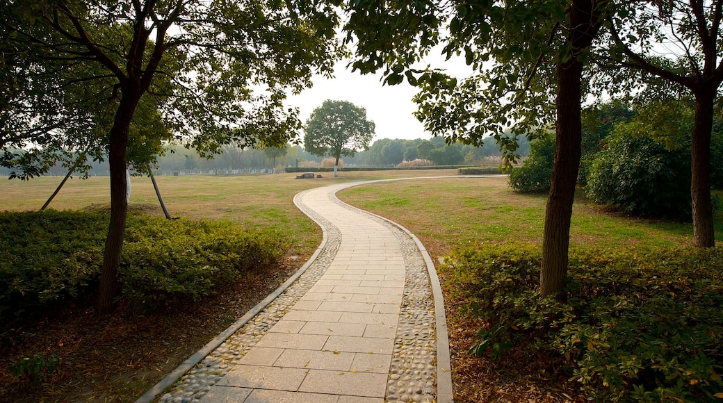 Jiaxing mostrando um parque