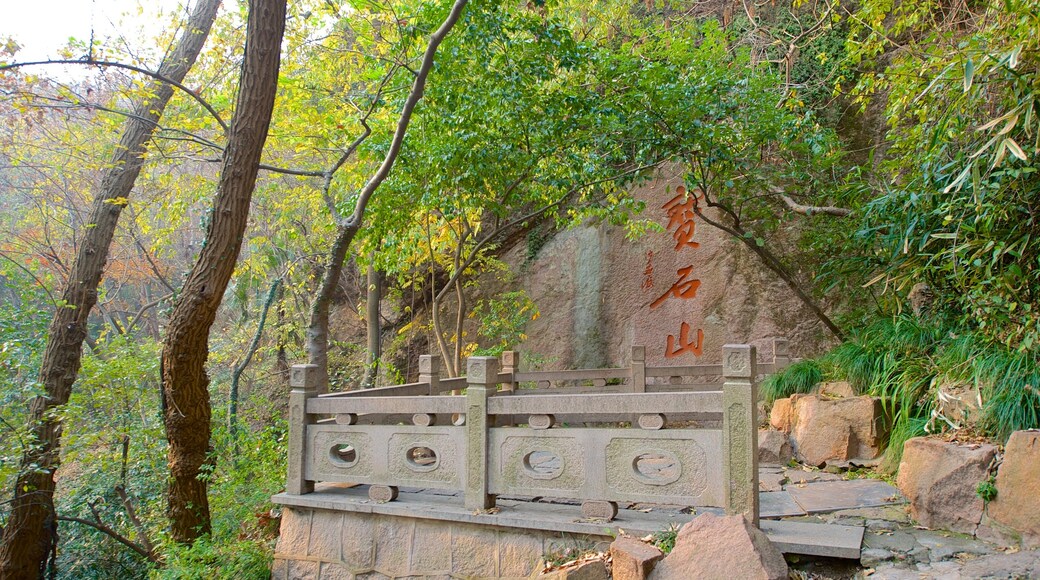 Baochu Pagoda which includes views