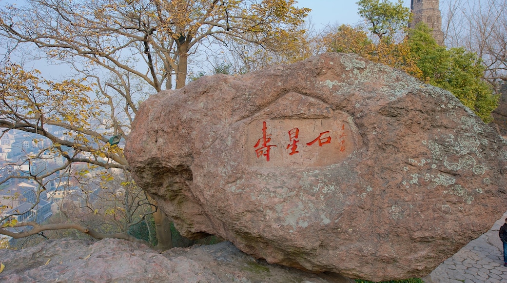 Baochu Pagoda featuring signage