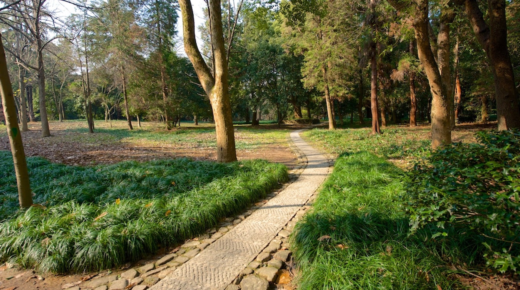 Hangzhou Botanical Garden featuring a park