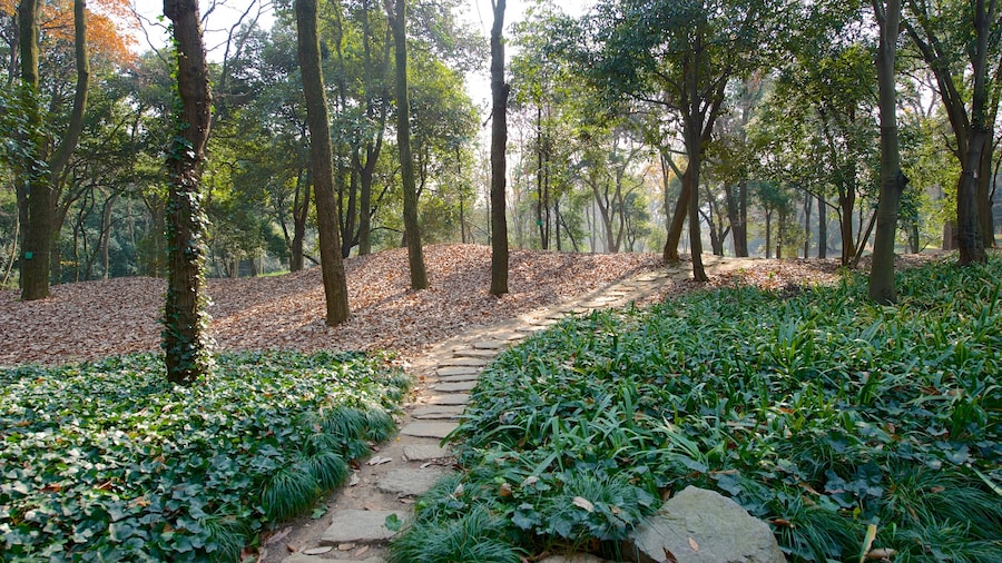 Jardín Botánico de Hangzhou mostrando bosques y un jardín