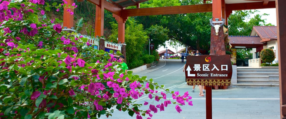 Luhuitou Park featuring flowers and signage
