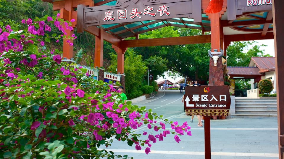 Luhuitou Park bevat bewegwijzering en bloemen