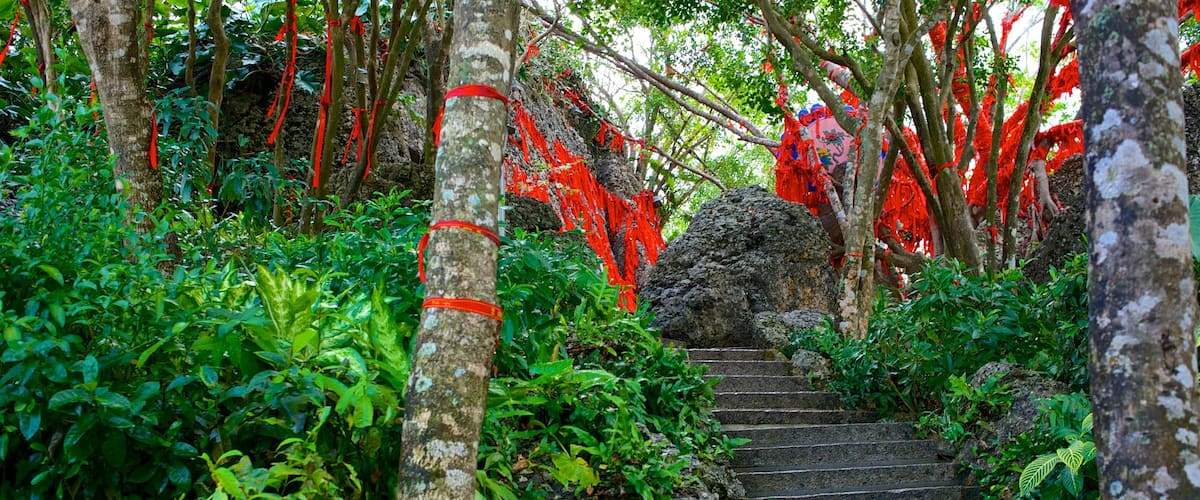 Luhuitou Park featuring forests