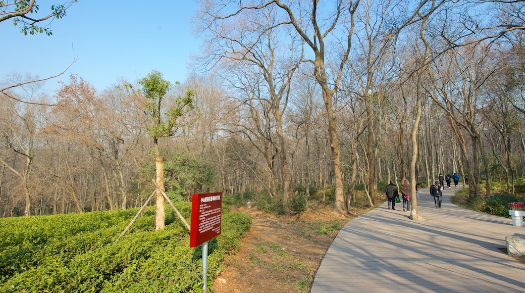 中山陵