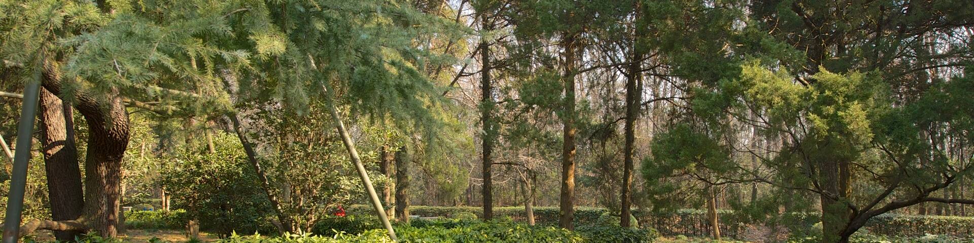 Dr. Sun Yat-Sen Mausoleum which includes a garden