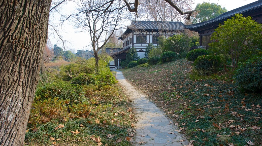 Parque del lago Xuan Wu que incluye un parque y hojas de otoño