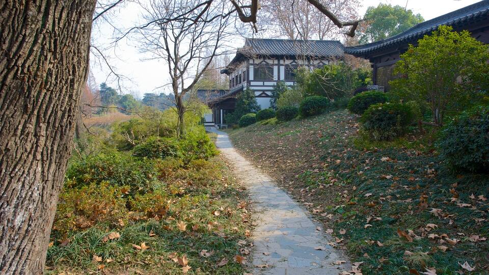 Xuan Wu Lake Park which includes autumn leaves and a garden