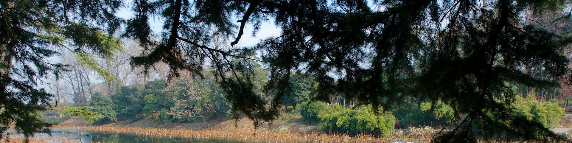 Xuan Wu Lake Park showing a lake or waterhole and a park