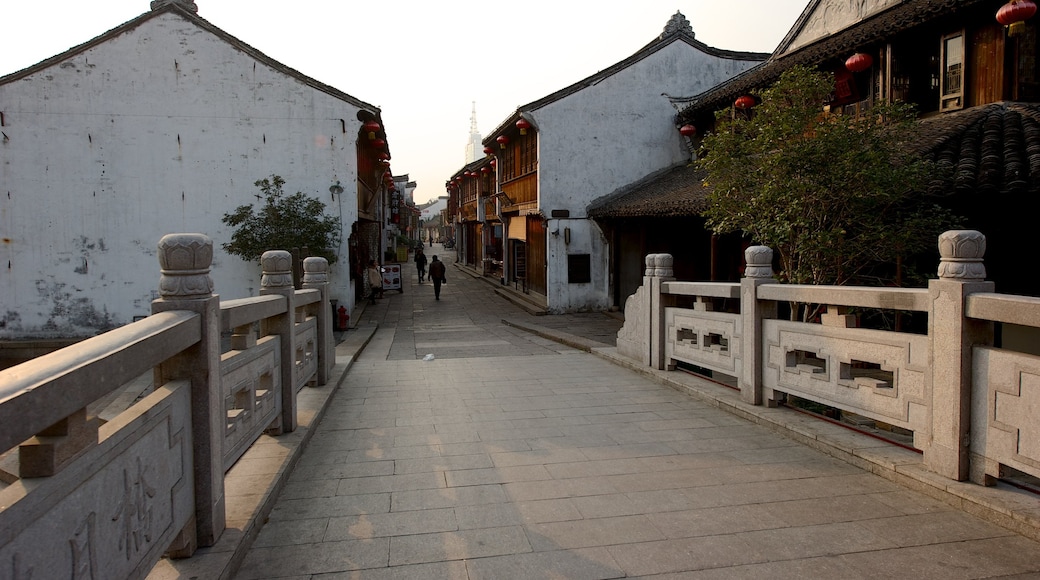 Jiaxing showing heritage architecture and a small town or village