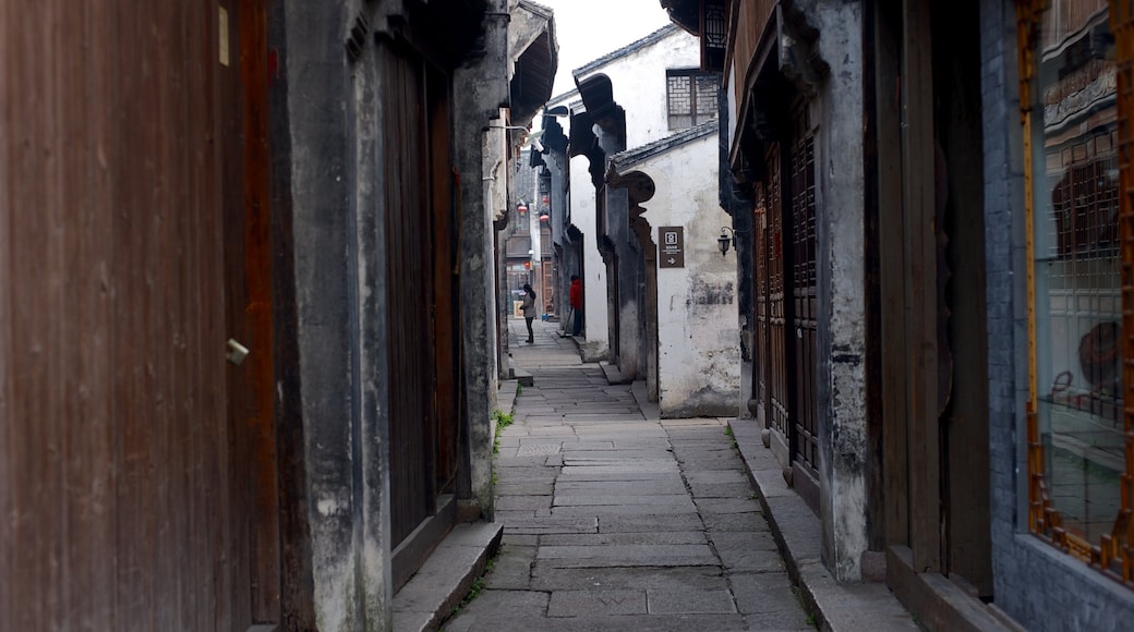 Jiaxing which includes heritage architecture