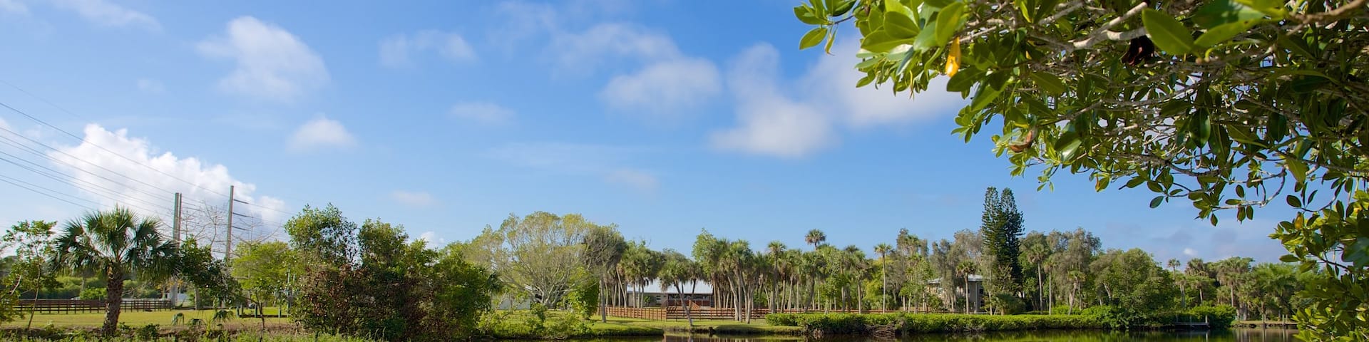 Manatee Park showing a garden and a lake or waterhole