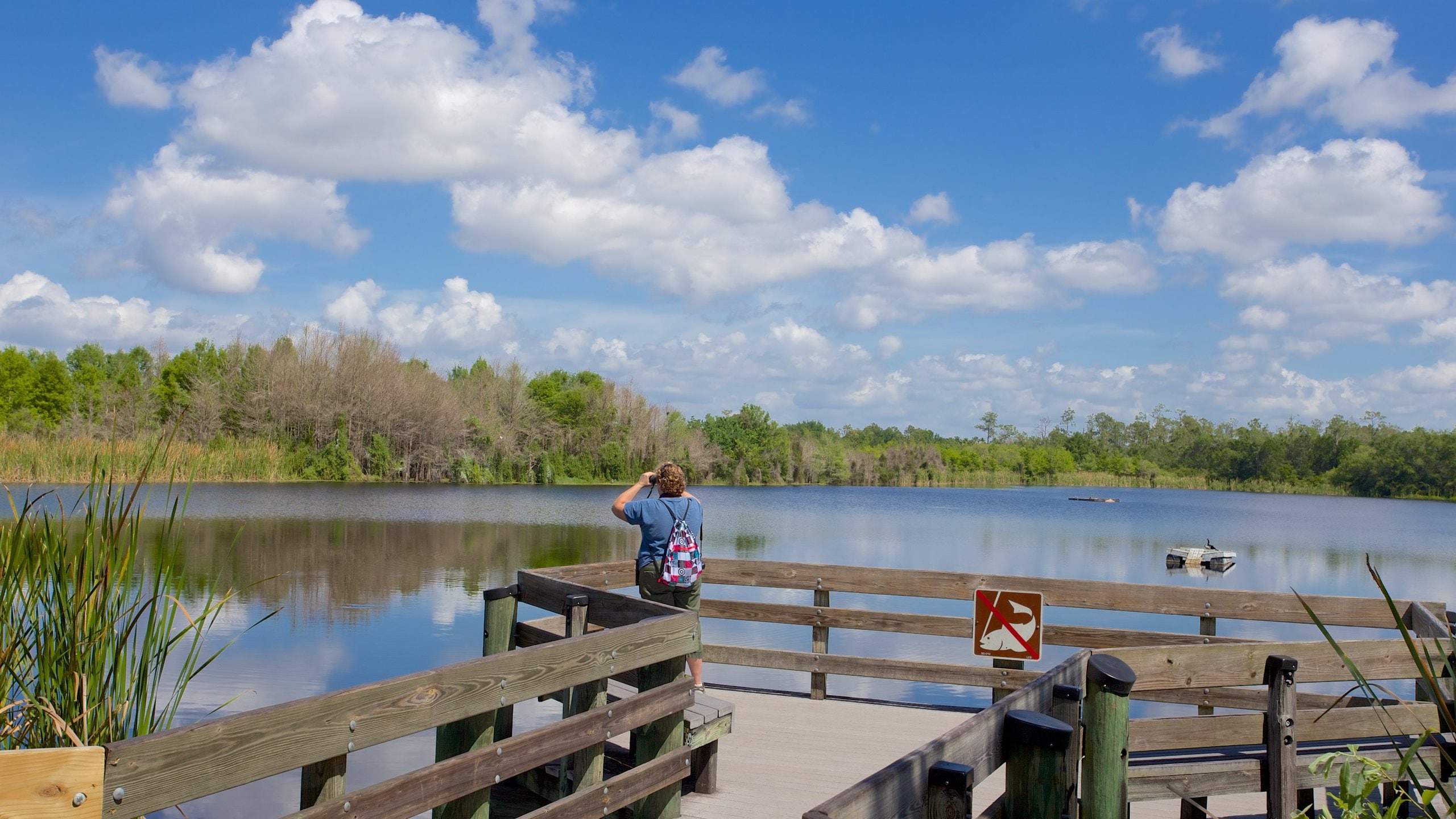 Six Mile Cypress Slough Preserve Vacation Rentals house rentals & more Vrbo