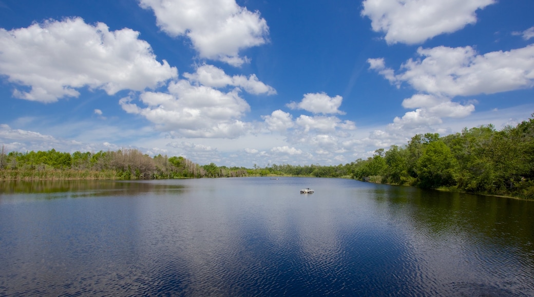 Six Mile Cypress Slough Preserve featuring a lake or waterhole