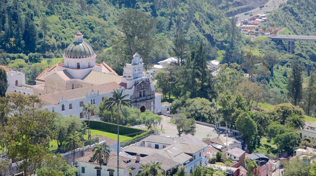 Guapulo featuring a city