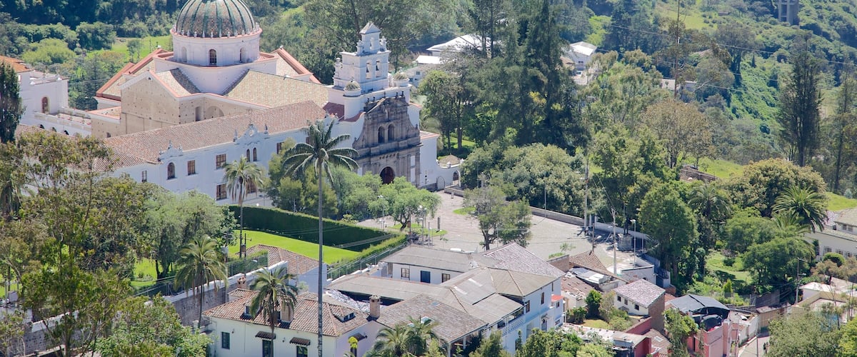 Guapulo featuring a city
