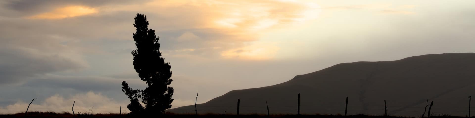 Cotopaxi National Park