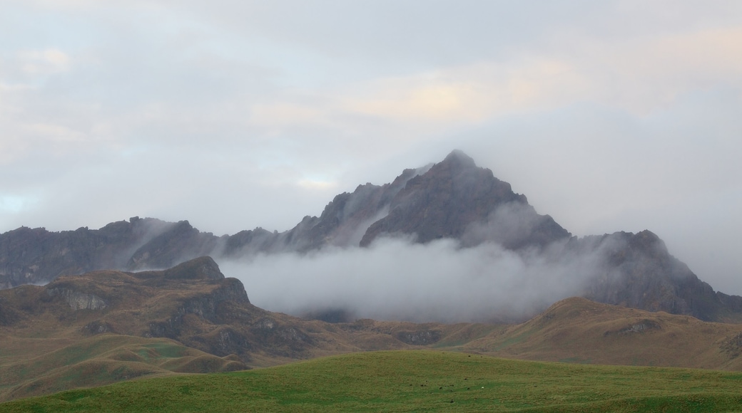 Parque Nacional de Cotopaxi ofreciendo montañas y neblina o niebla