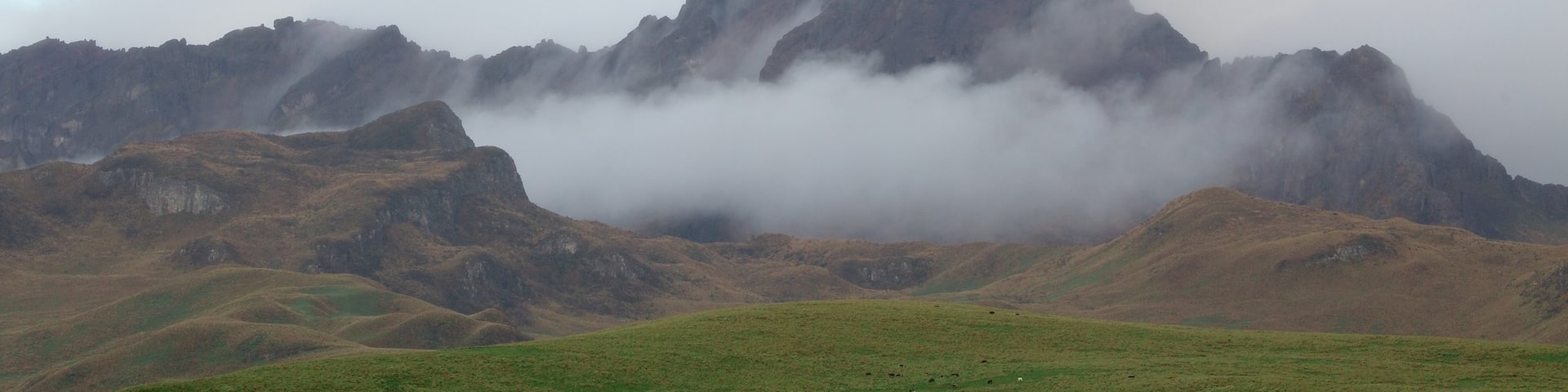 Cotopaxi National Park which includes mist or fog and mountains