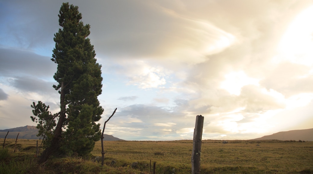 Cotopaxi National Park featuring tranquil scenes