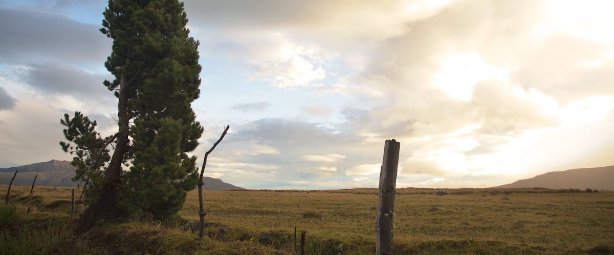 Cotopaxi National Park which includes tranquil scenes