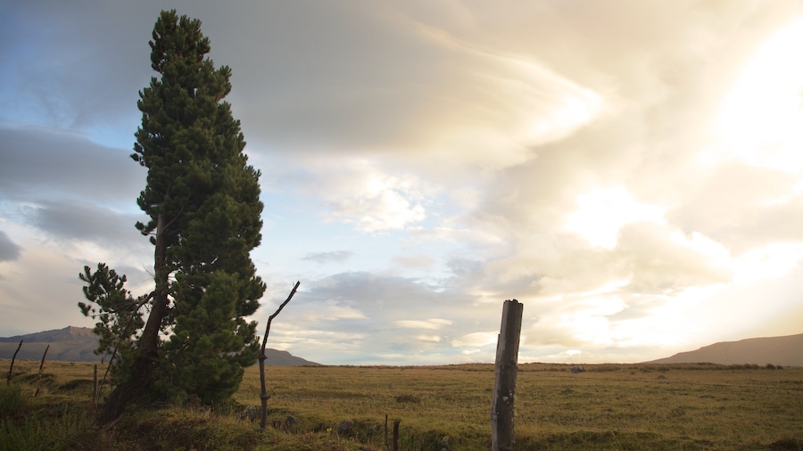 Cotopaxi National Park showing tranquil scenes