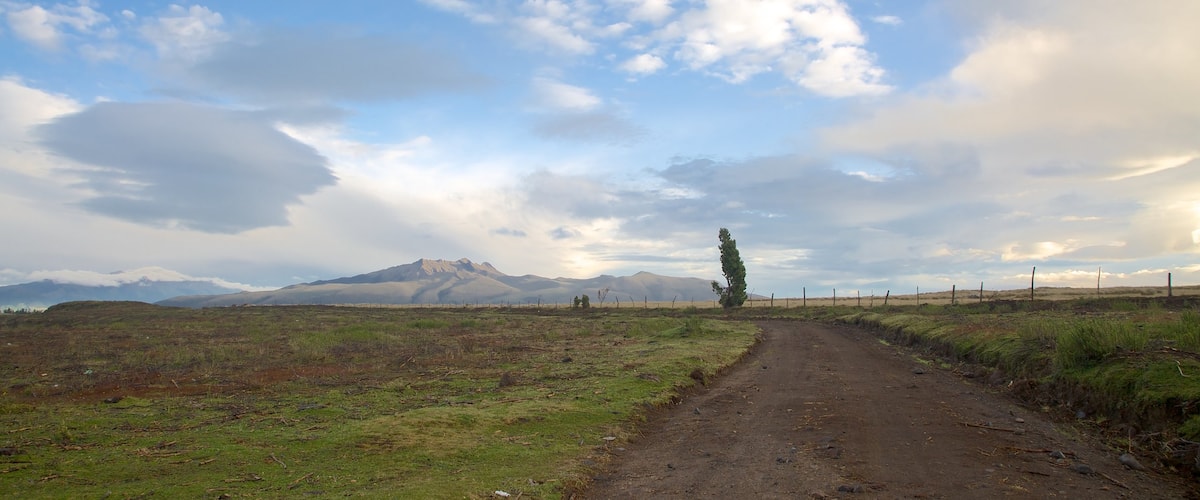 Parque Nacional de Cotopaxi ofreciendo escenas tranquilas