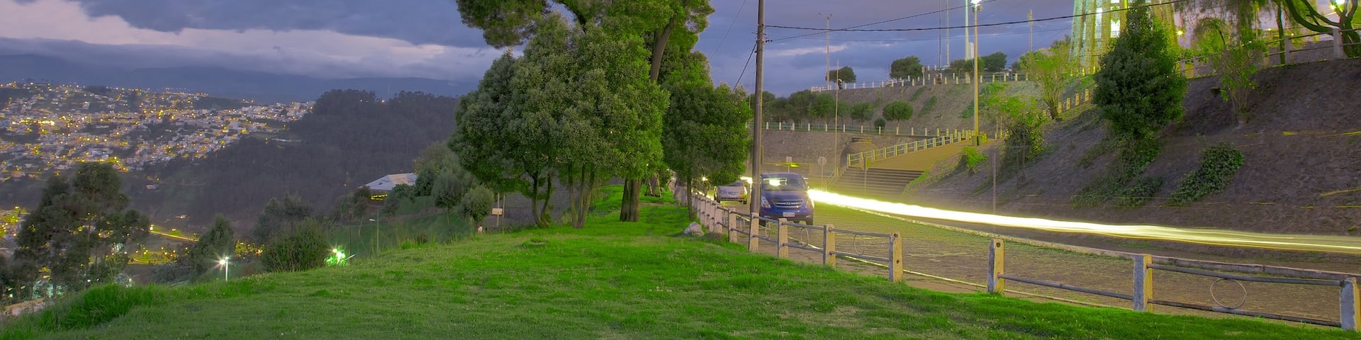 El Panecillo showing a statue or sculpture and night scenes