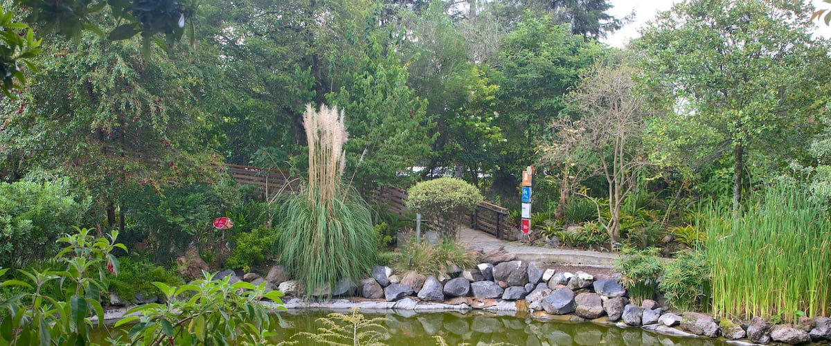 La Carolina showing a park and a pond