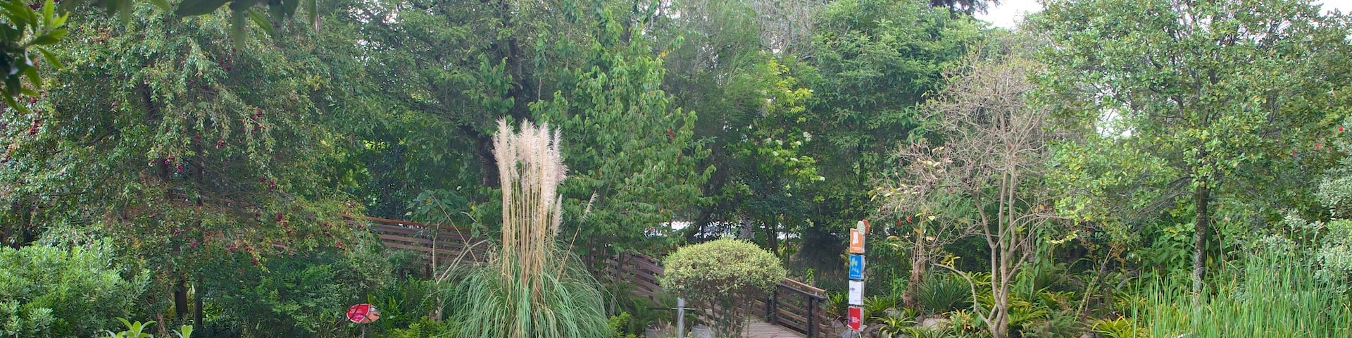 La Carolina featuring a pond and a garden