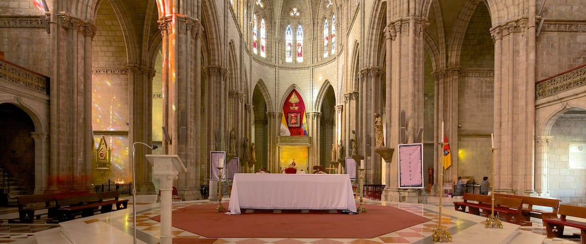 Basílica del Voto Nacional toont een kerk of kathedraal, religieuze elementen en interieur