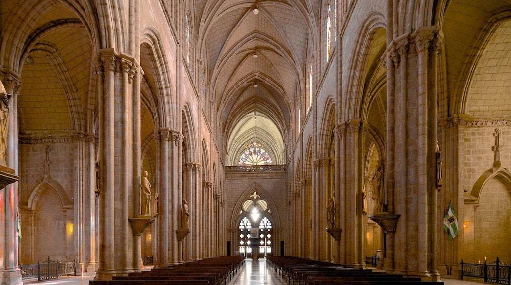 Basilica of the National Vow featuring a church or cathedral, religious aspects and interior views