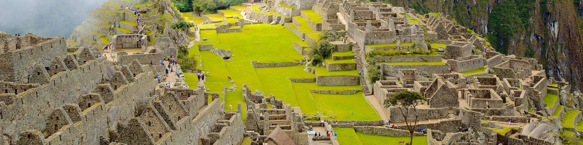 Machu Picchu featuring building ruins and mist or fog