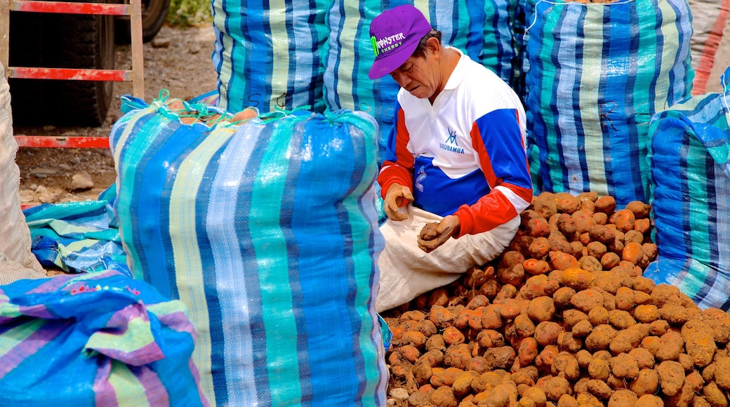 Urubamba welches beinhaltet Märkte sowie einzelner Mann