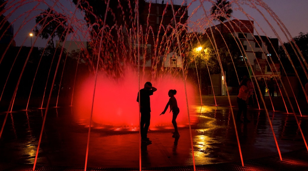 Exposition Park which includes a fountain as well as a small group of people