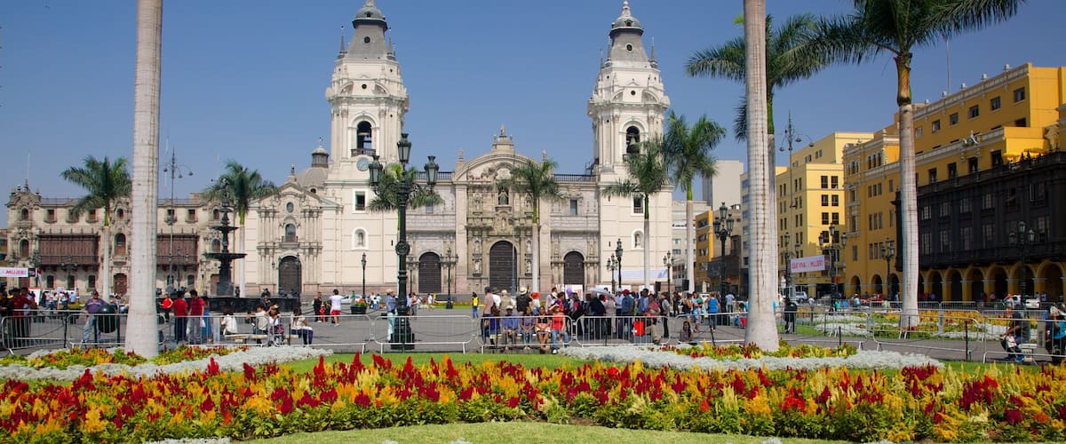 Plaza Mayor que incluye un jardín y flores