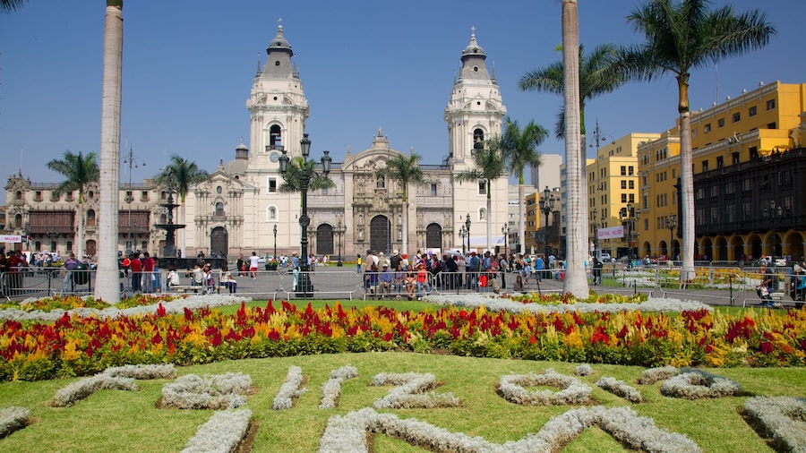 Plaza Mayor which includes flowers and a park